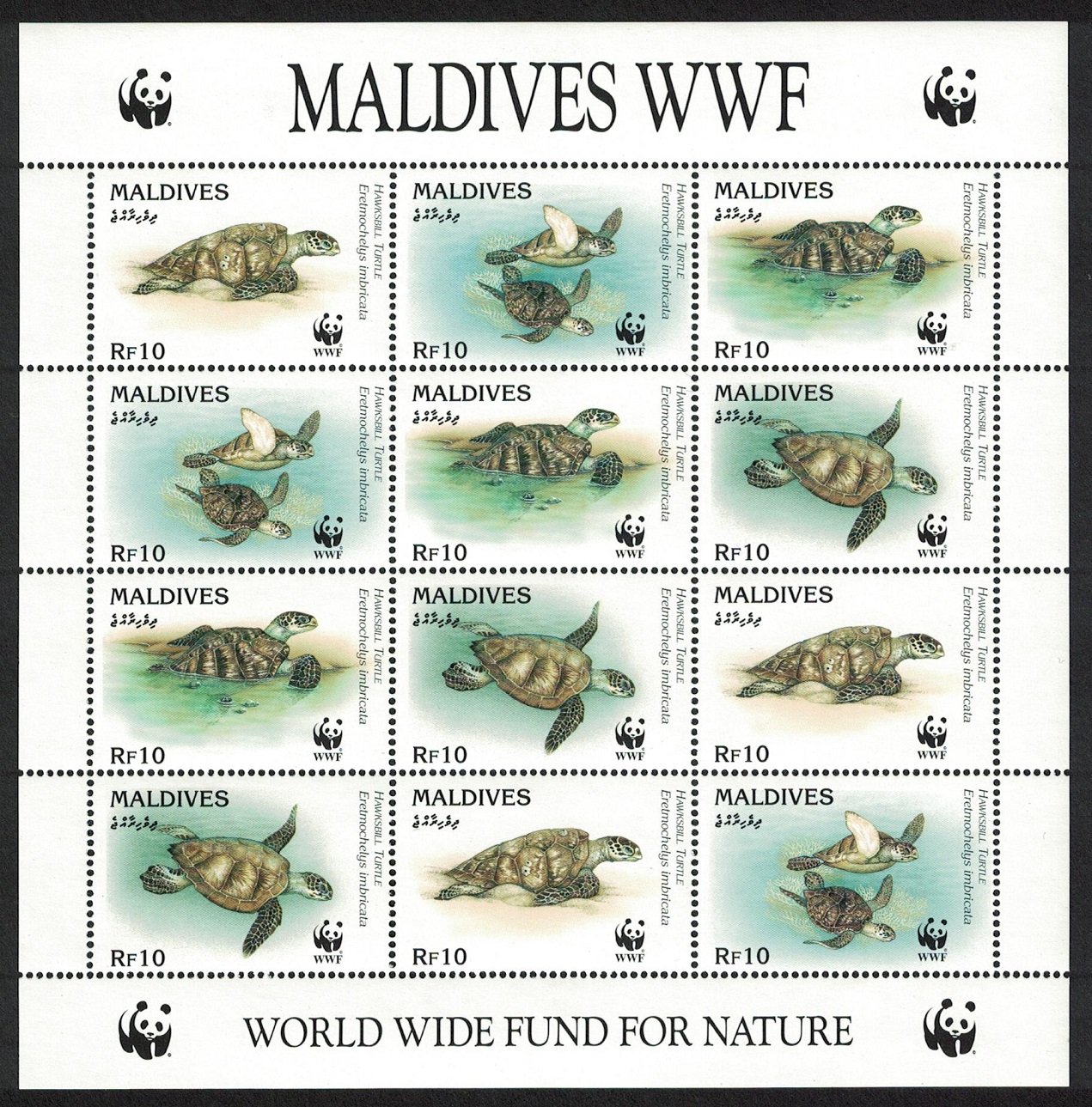 Maldives WWF Hawksbill Turtle Sheetlet of 3 sets 1995 MNH SG#2297-2300 MI#2420-2423 Sc#2092 a-d