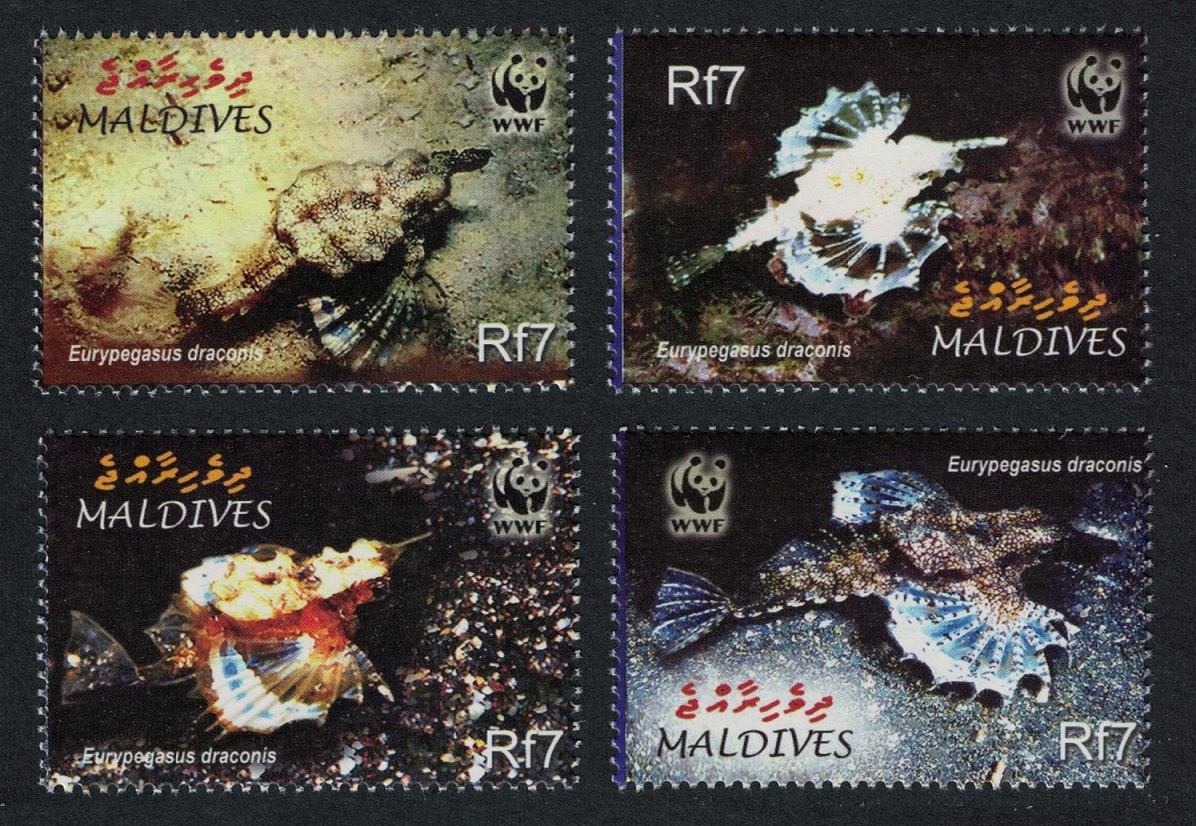 Maldives WWF Dragonfish Fish 4v 2004 MNH SG#3966-3969 MI#4407-4410 Sc#2839 a-d