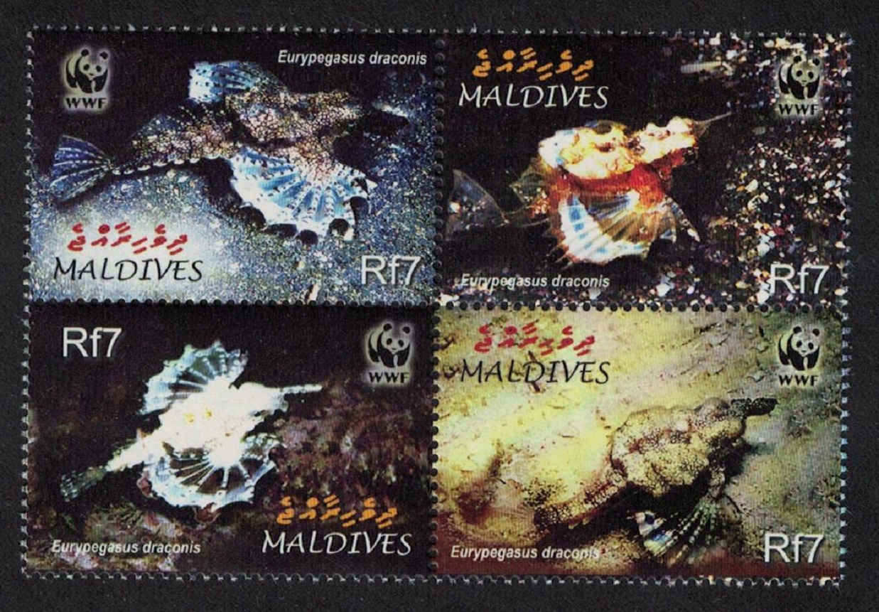 Maldives WWF Dragonfish 4v Block of 4 2004 MNH SG#3966-3969 MI#4407-4410 Sc#2839 a-d