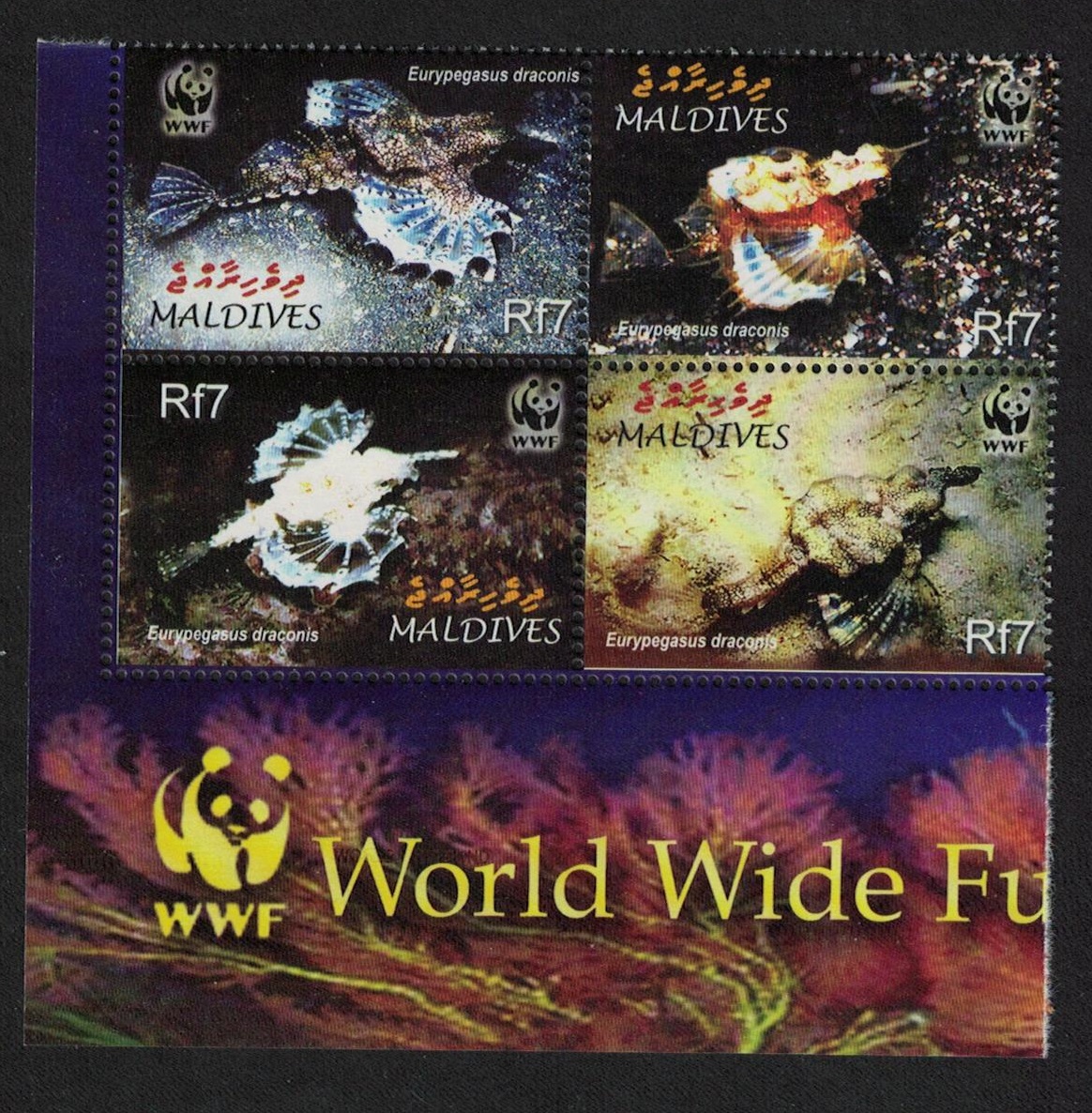 Maldives WWF Dragonfish 4v SW Block of 4 WWF Logo 2004 MNH SG#3966-3969 MI#4407-4410 Sc#2839 a-d