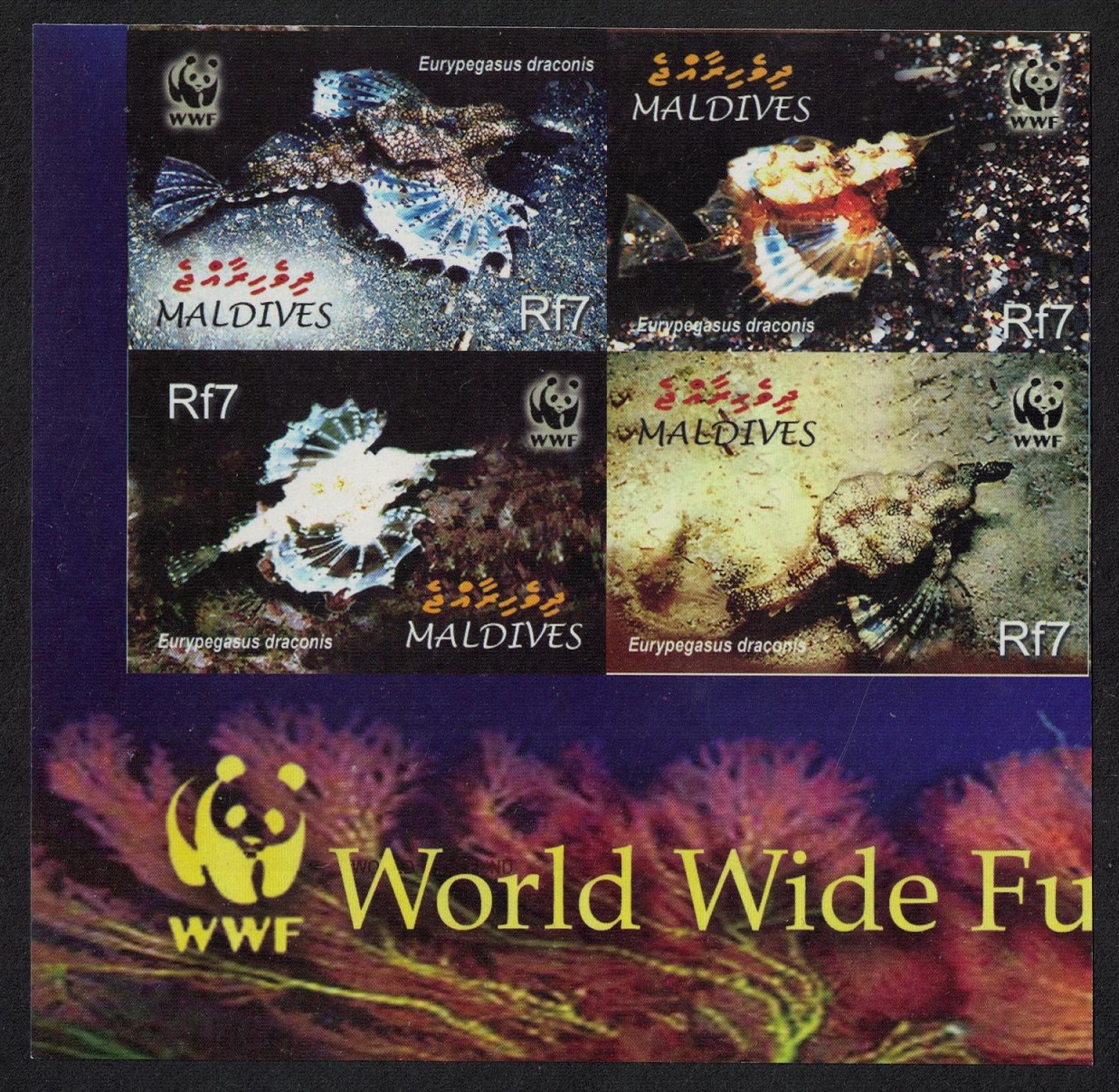 Maldives WWF Dragonfish 4v SW Block of 4 IMPERF 2004 MNH SG#3966-3969 MI#4407-4410 Sc#2839 a-d