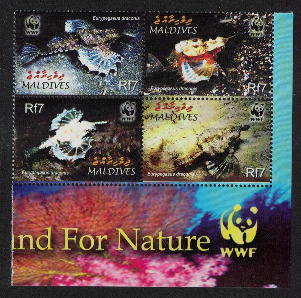 Maldives WWF Dragonfish 4v SE Block of 4 WWF Logo 2004 MNH SG#3966-3969 MI#4407-4410 Sc#2839 a-d