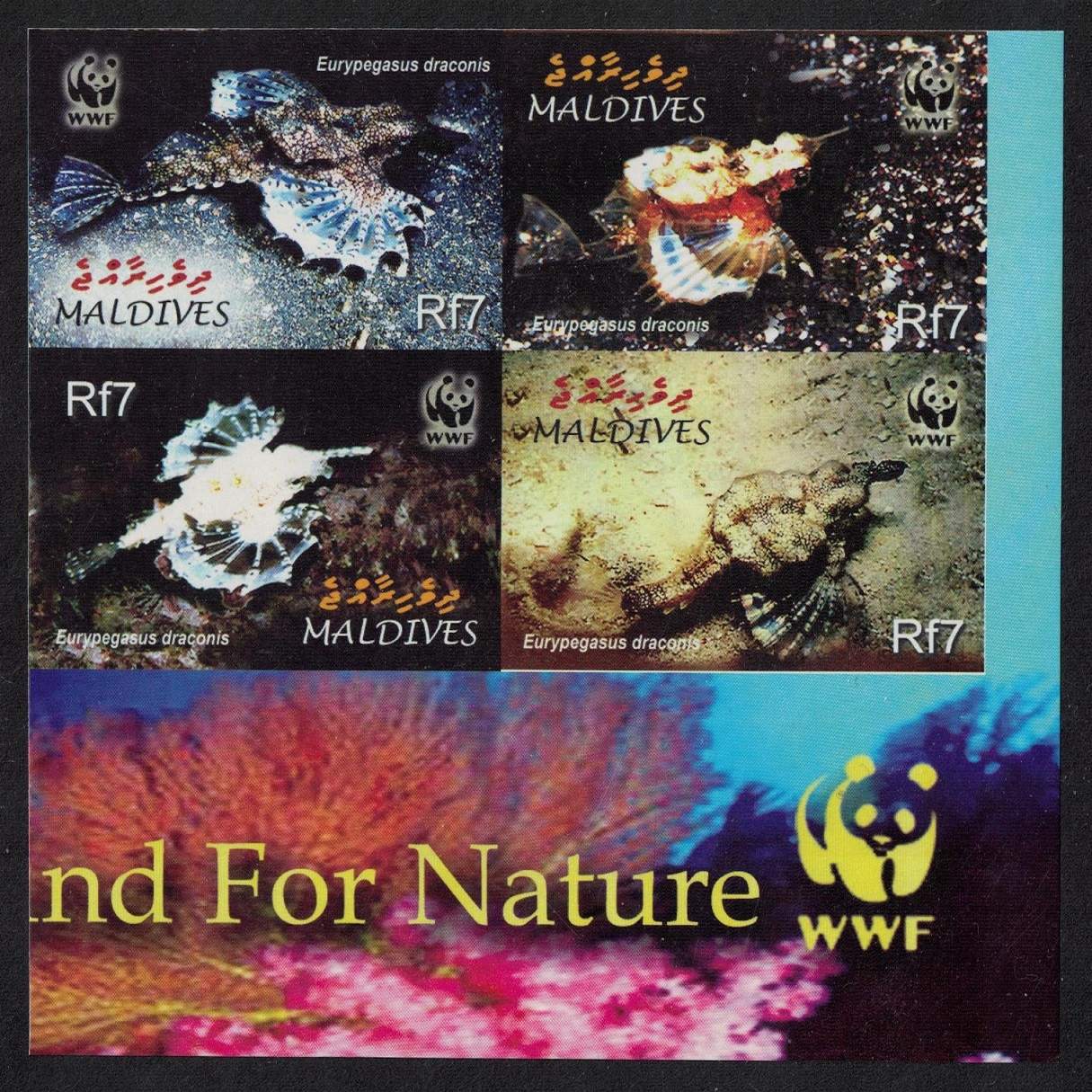 Maldives WWF Dragonfish 4v SE Block of 4 IMPERF 2004 MNH SG#3966-3969 MI#4407-4410 Sc#2839 a-d