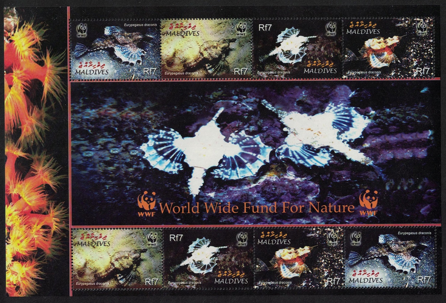 Maldives WWF Dragonfish MS 2004 MNH SG#3966-3969 MI#4407-4410 Sc#2839 a-d