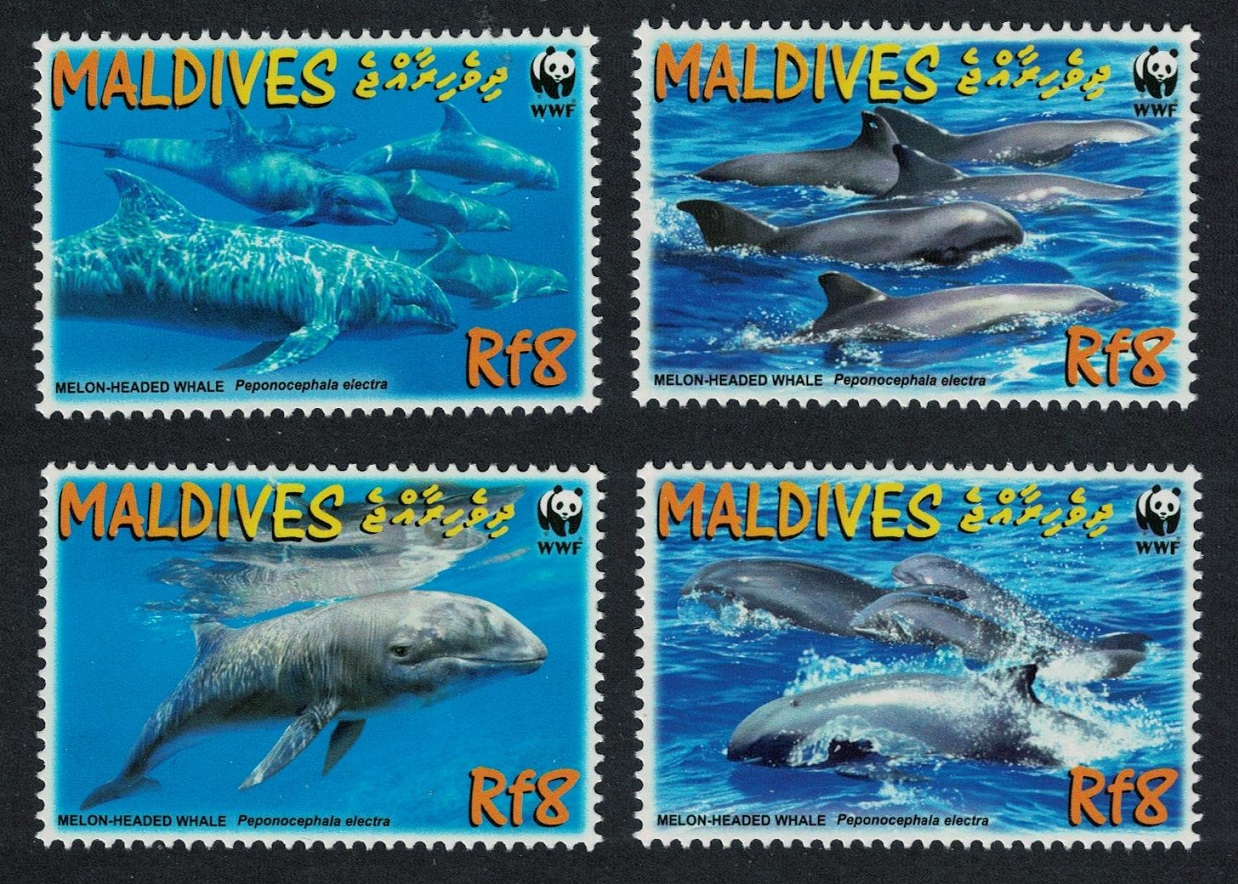 Maldives WWF Melon-headed Whale 4v 2009 MNH SG#4234-4237 MI#4768-4771 Sc#2987a-d