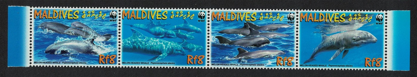 Maldives WWF Melon-headed Whale Strip of 4v 2009 MNH SG#4234-4237 MI#4768-4771 Sc#2987a-d