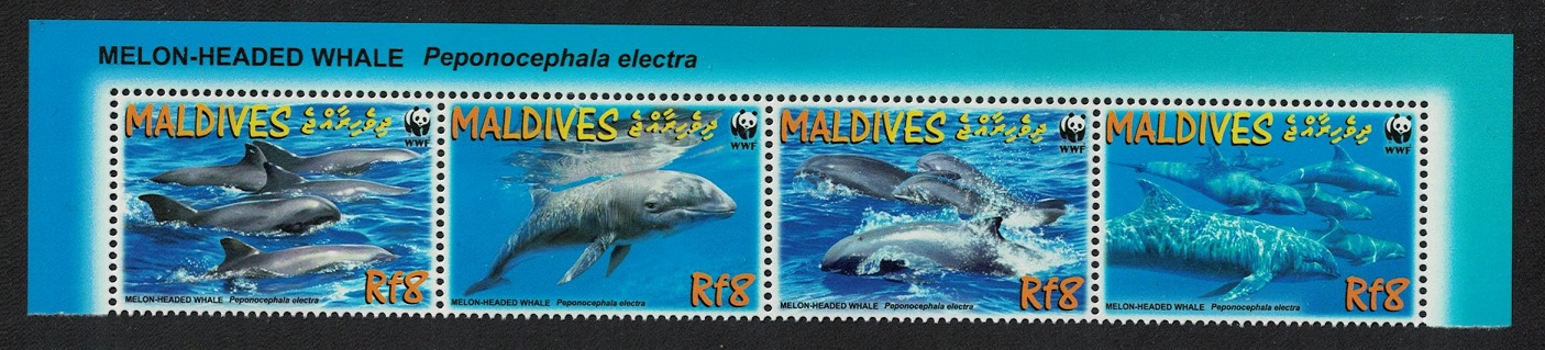 Maldives WWF Melon-headed Whale Top Strip of 4v Latin Name 2009 MNH SG#4234-4237 MI#4768-4771 Sc#2987a-d