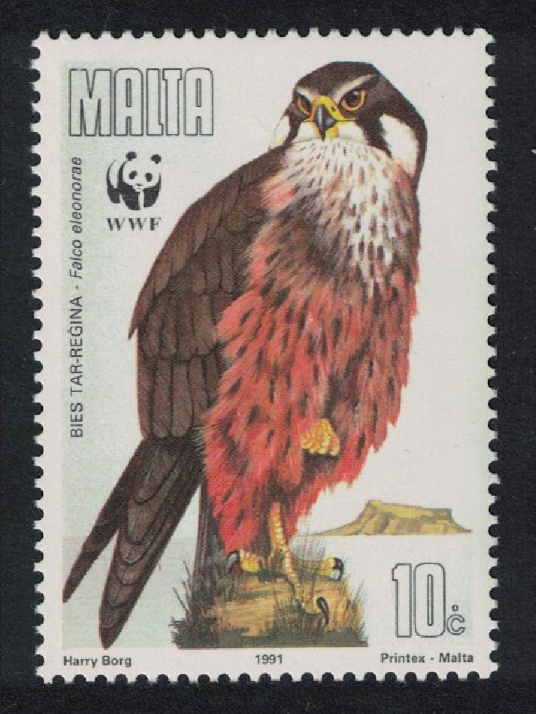 Malta Eleonora&#39;s falcon Bird 1991 MNH SG#900