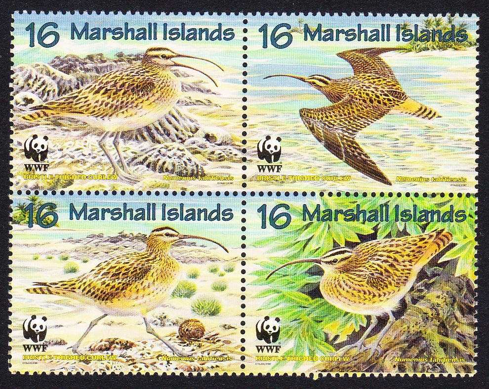 Marshall Islands Birds WWF Bristle-thighed Curlew 4v Block of 4 1997 MNH SG#826-829 MI#830-833 Sc#638 a-d