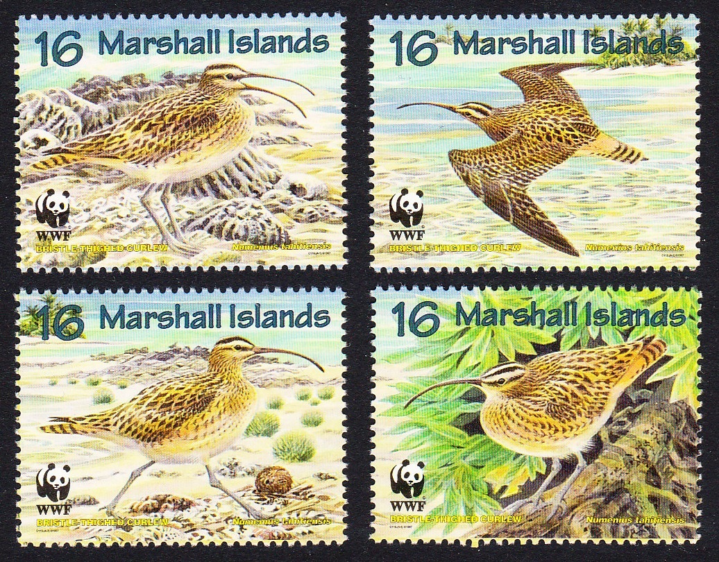 Marshall Islands WWF Birds Bristle-thighed Curlew 4v 1997 MNH SG#826-829 MI#830-833 Sc#638 a-d