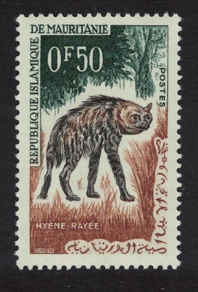 Mauritania Striped Hyena Wild Animal 1963 MNH SG#165