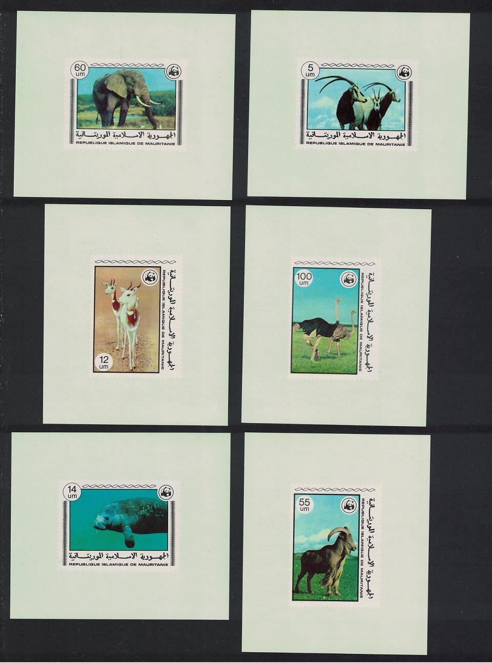 Mauritania Birds WWF Endangered Animals 6 De-Luxes 1978 MNH SG#573-578 MI#595-600 Sc#383-388