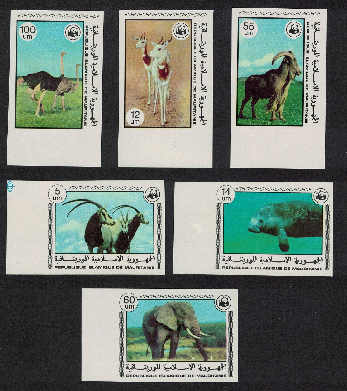 Mauritania Birds WWF Endangered Animals 6v Imperf Margins 1978 MNH SG#573-578 MI#595-600 Sc#383-388