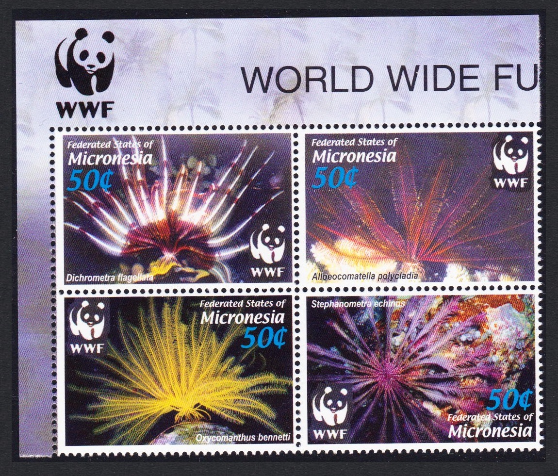 Micronesia WWF Feather Stars 4v Block of 4 WWF Logo 2005 MNH SG#1347-1350 MI#1674-1677 Sc#659 a-d