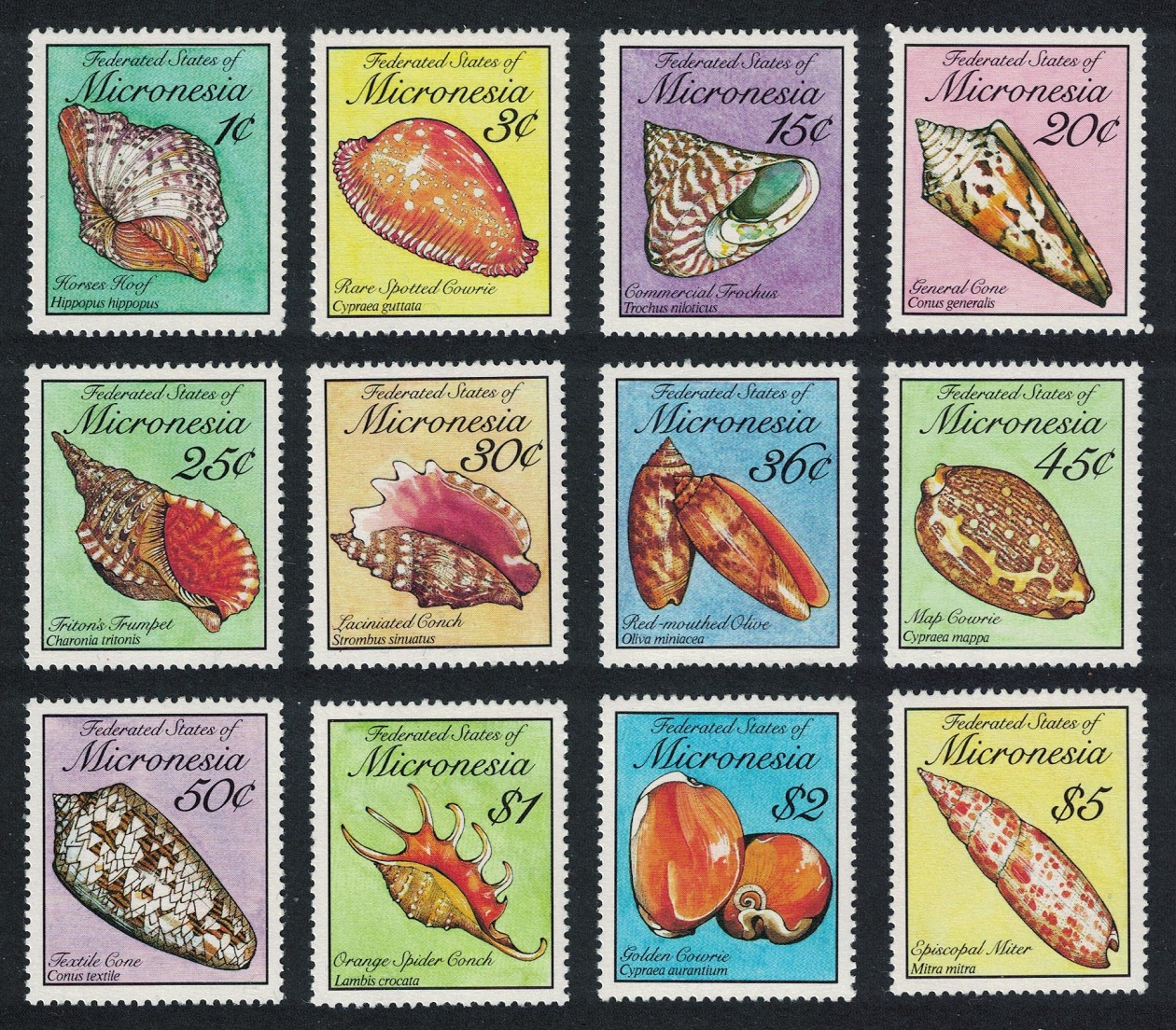 Micronesia Sea Shells 12v Face Value US$11.50 1989 MNH SG#136-147 MI#142-153 Sc#83-102