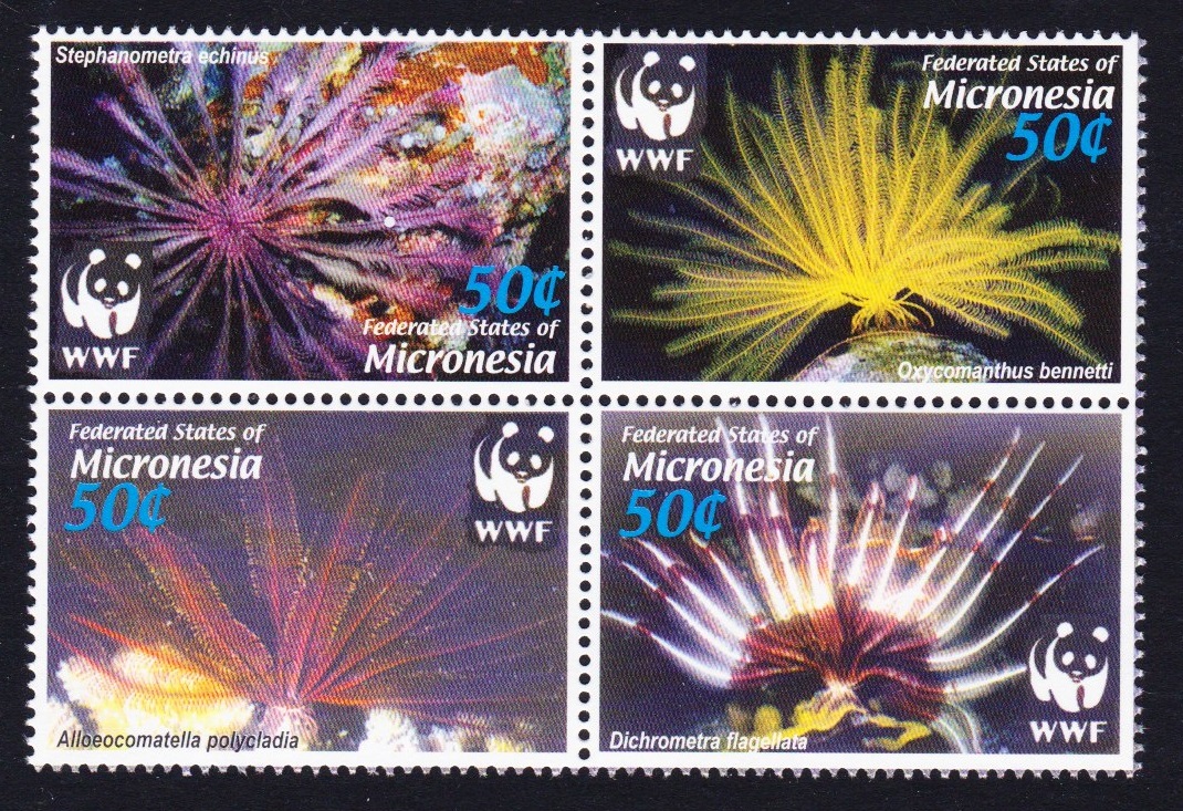 Micronesia WWF Feather Stars 4v Block of 4 2005 MNH SG#1347-1350 MI#1674-1677 Sc#659 a-d