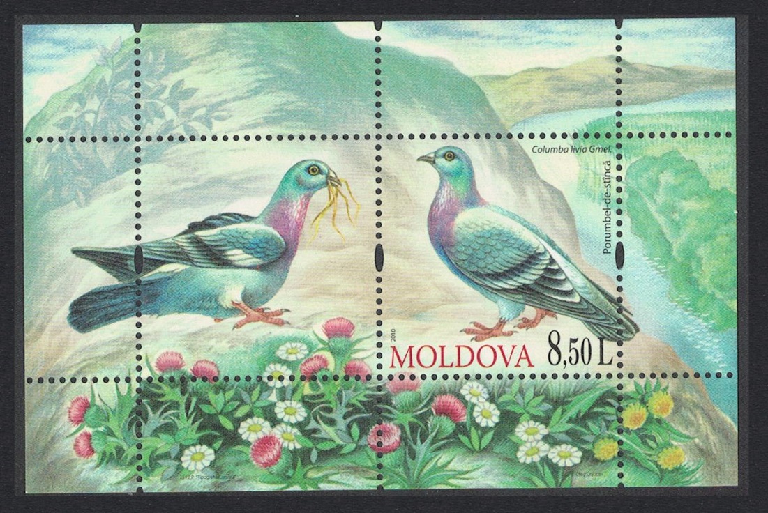 Moldova Rock Dove &#39;Columba Livia&#39; Birds MS 2010 MNH SG#MS696 MI#Block 50