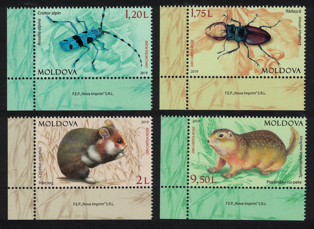 Moldova Beetles Rodents Endangered Animals Fauna 4v Corners 2019 MNH SG#1072-1075