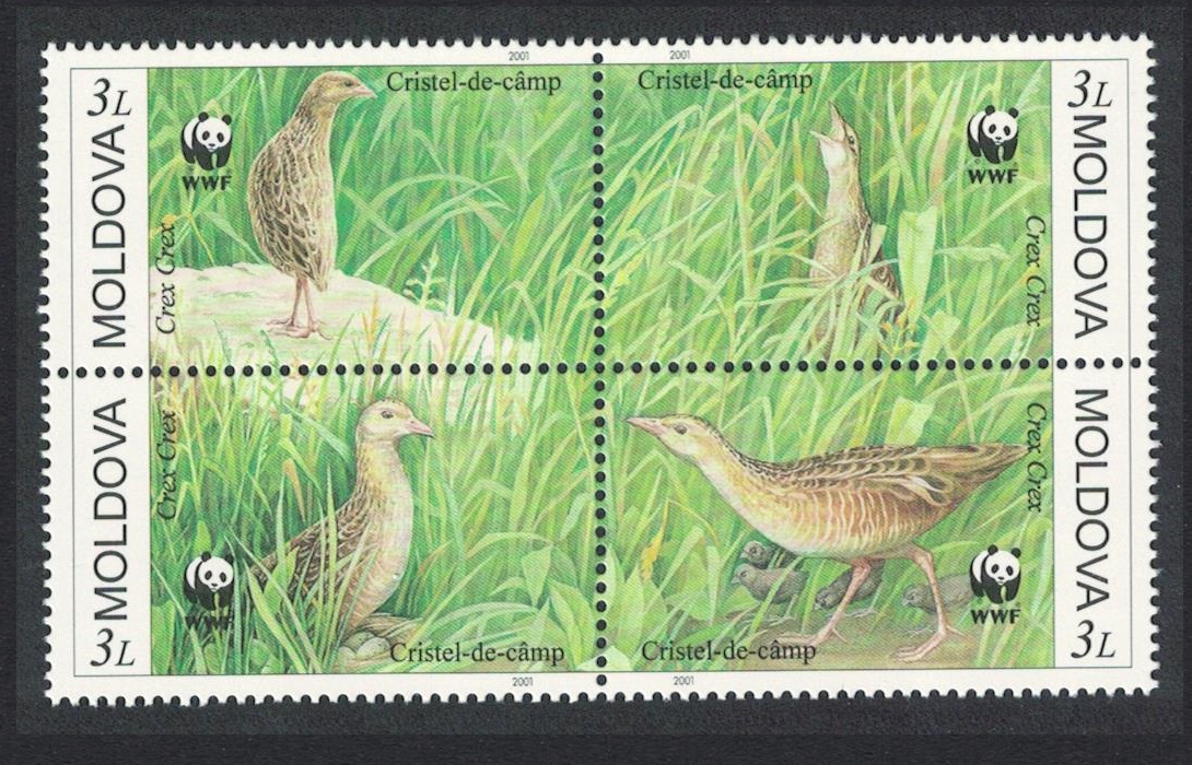 Moldova Birds WWF Corncrake 4v Block of 4 2001 MNH SG#382-385 MI#379-382 Sc#370 a-d