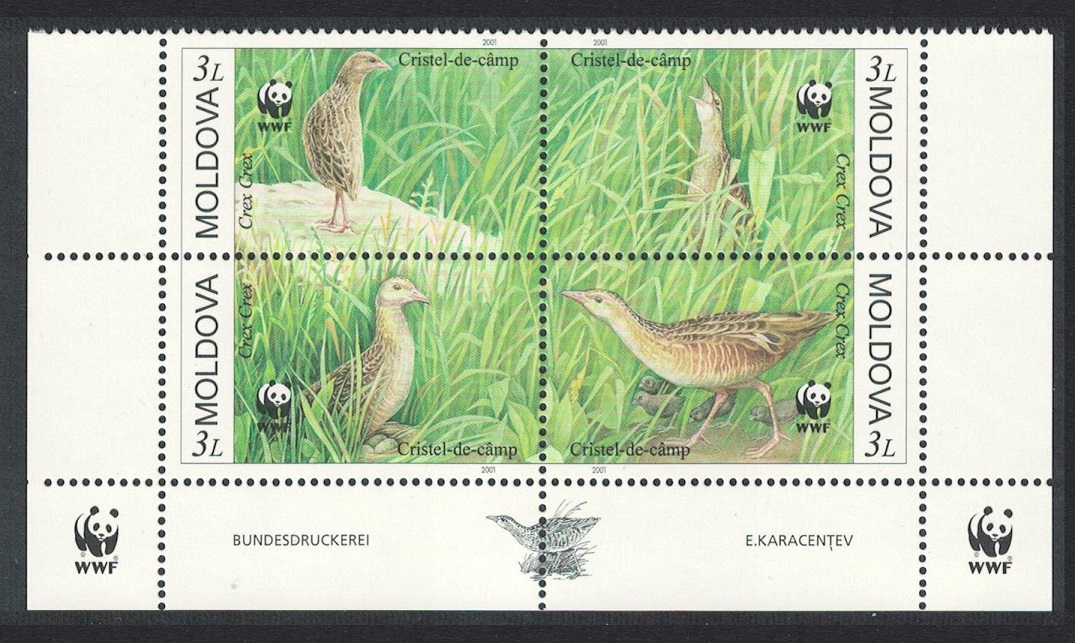 Moldova Endangered Species Corncrake Bird 4v Bottom Block of 4 WWF Logo 2001 MNH SG#382-385 Sc#370