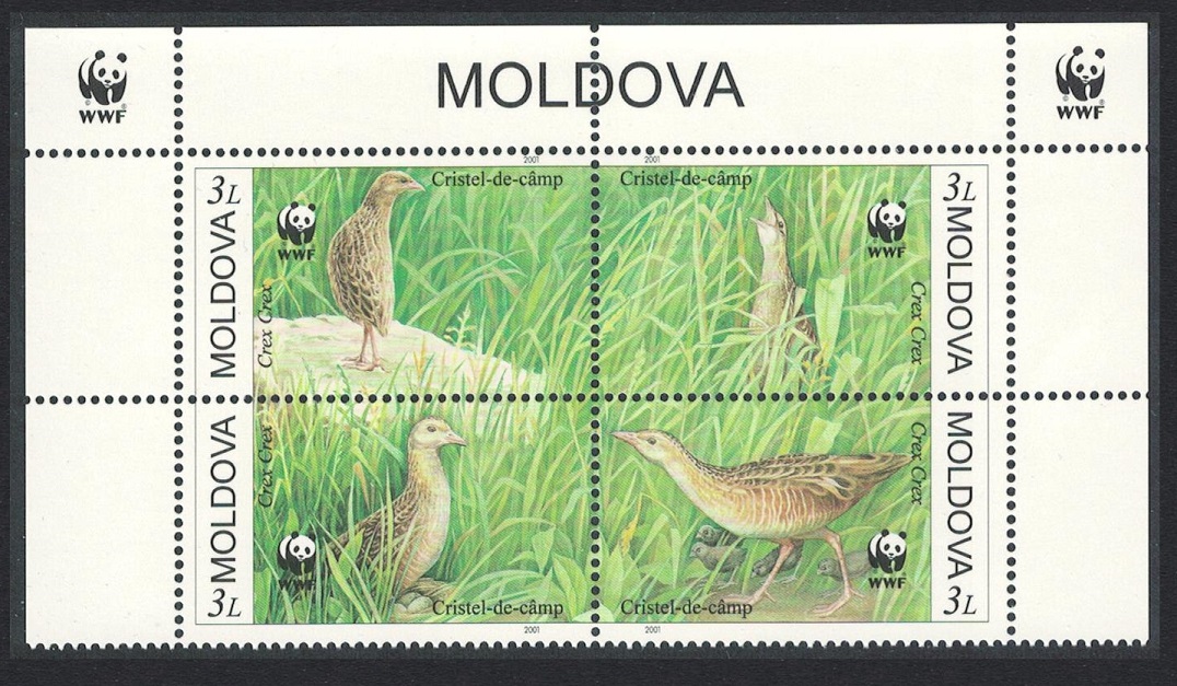 Moldova Endangered Species Corncrake Bird 4v Top Block of 4 WWF Logo 2001 MNH SG#382-385 Sc#370