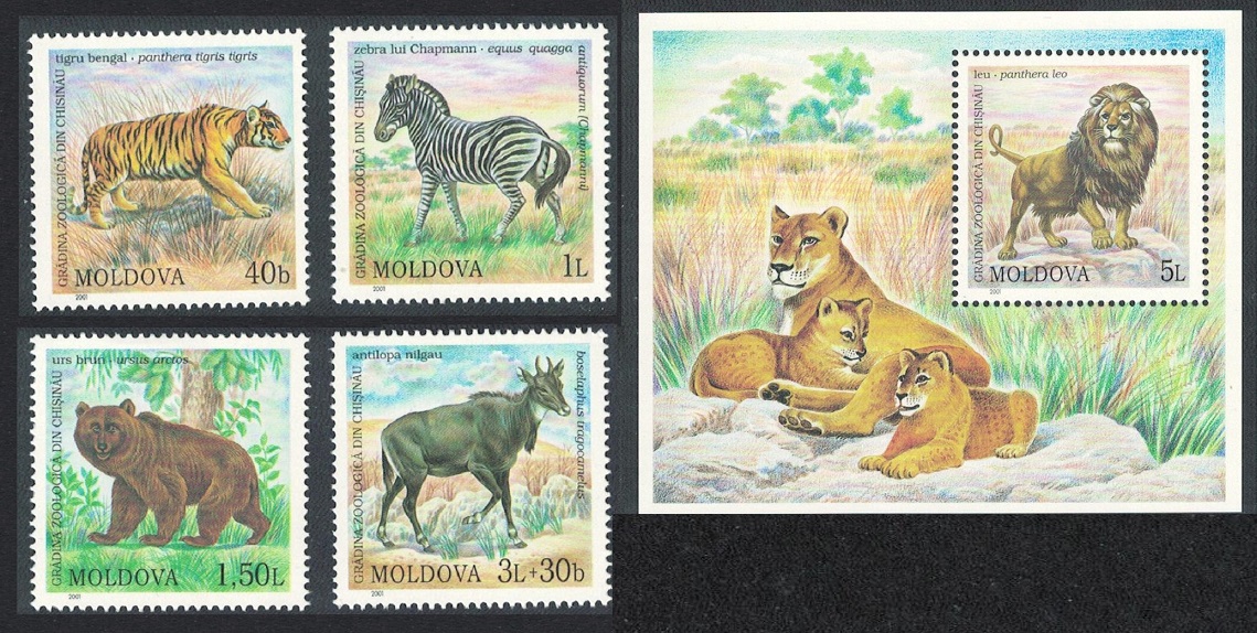 Moldova Tiger Lion Zebra Antelope Bear Chisinau Zoo 4v+MS 2001 MNH SG#398-MS402