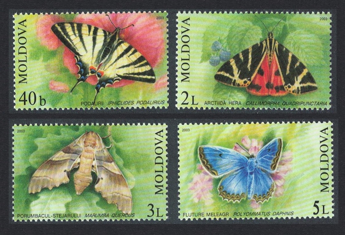 Moldova Butterflies and Moths 4v 2003 MNH SG#455-458 Sc#440-443