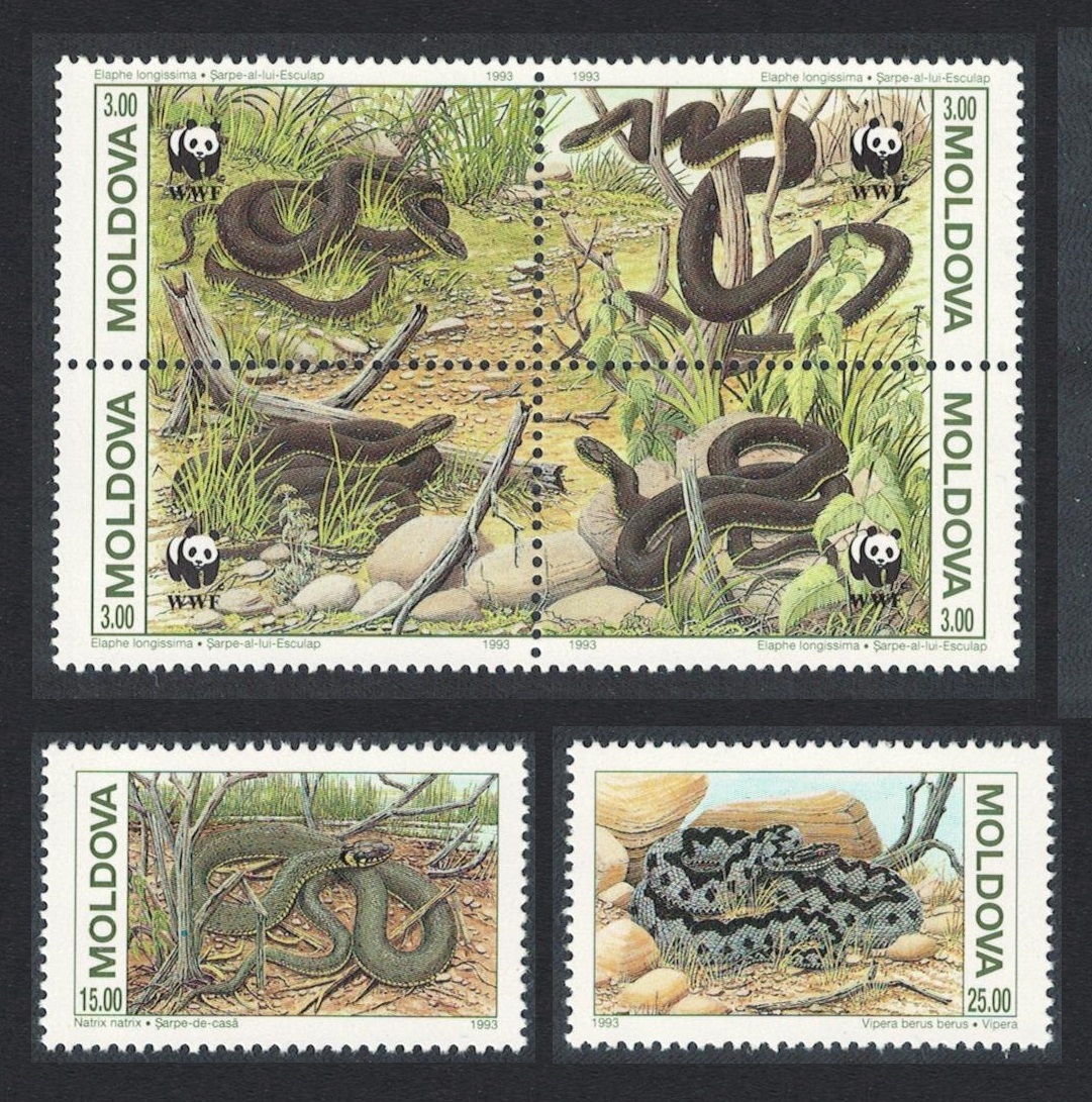 Moldova Snakes Protected Animals Fauna WWF 6v 1993 MNH SG#57-62 Sc#72-74