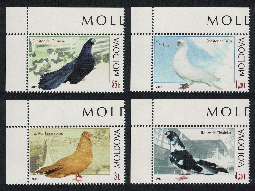 Moldova Breeds of Pigeon Birds 4v Corners 2012 MNH SG#782-785 MI#799-802