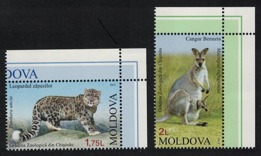 Moldova Snow Leopard Wallaby Chisinau Zoo 2v Corners 2013 MNH SG#814-815