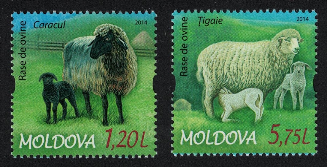 Moldova Sheep Breeds 2v 2014 MNH SG#858-859