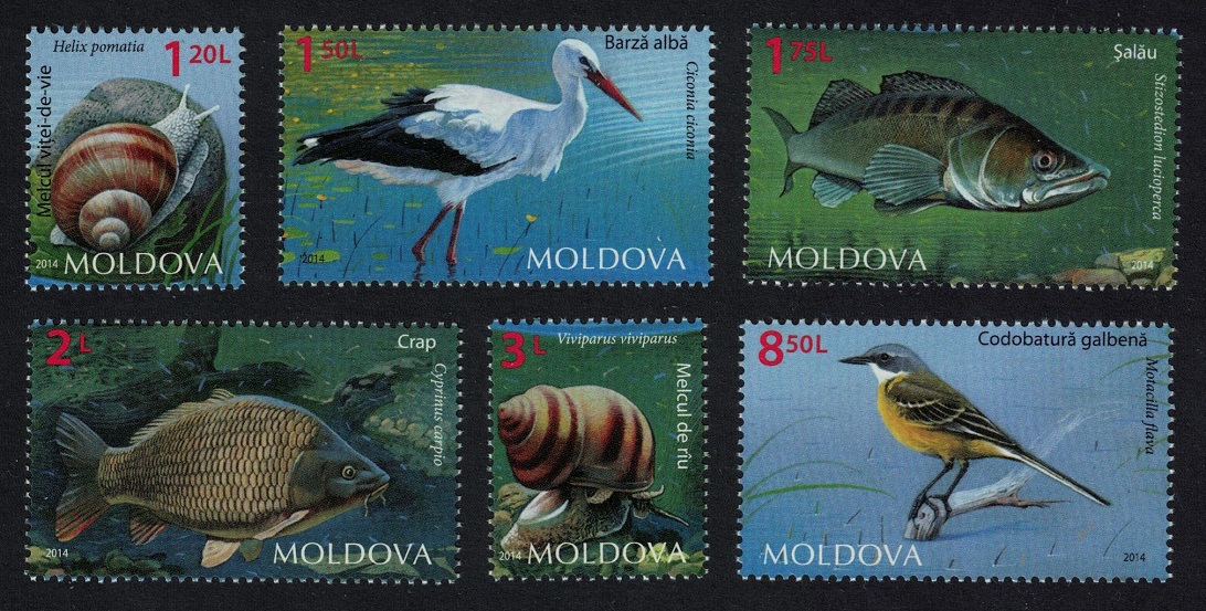 Moldova Stork Wagtail Birds Fish Snails Fauna 6v 2014 MNH SG#864-869 MI#883-888