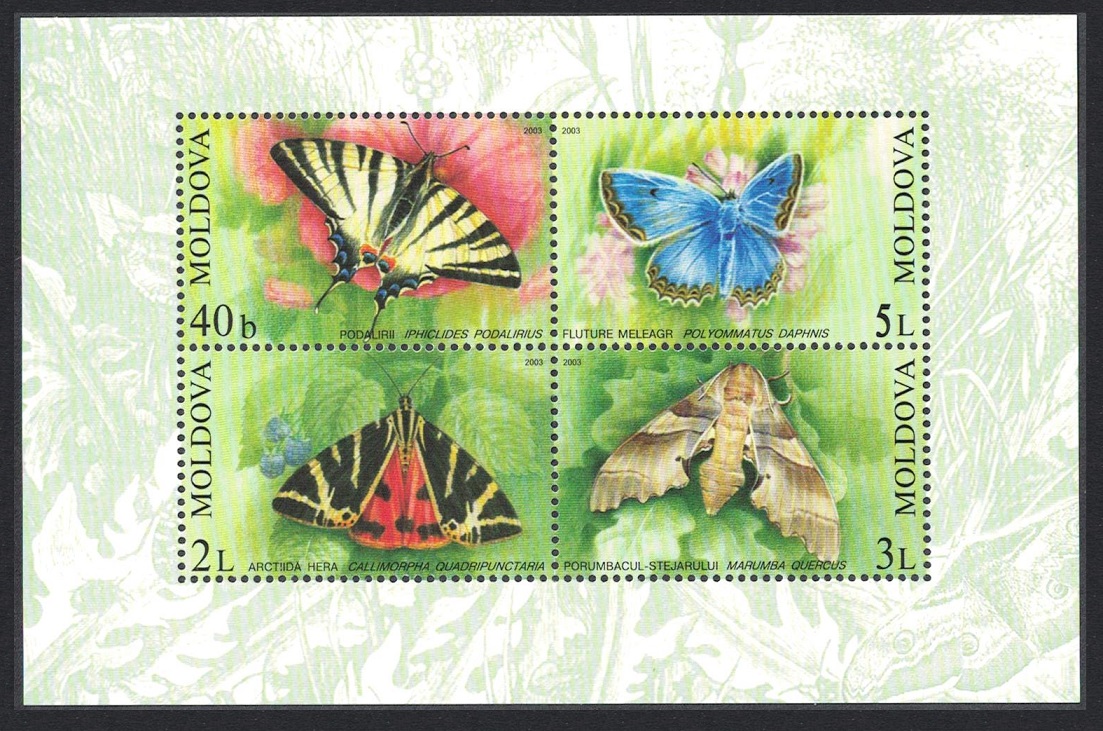 Moldova Butterflies and Moths MS 2003 MNH SG#MS459 Sc#443a