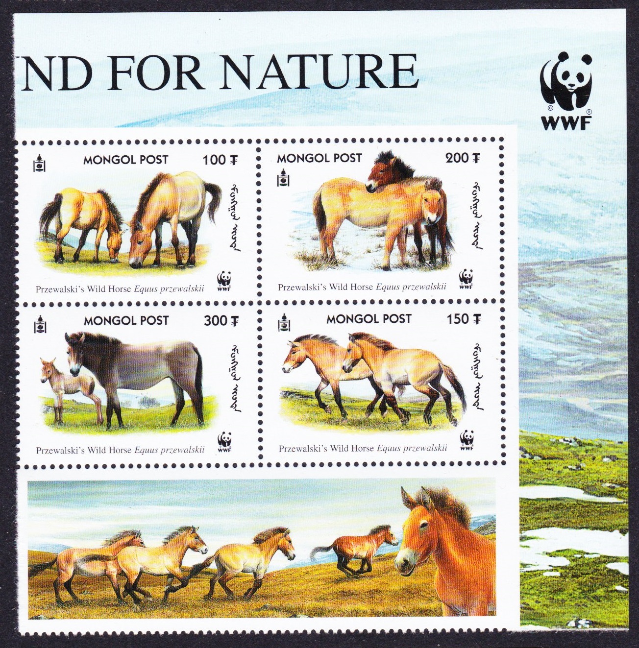 Mongolia WWF Przewalski&#39;s Horse Block of 4 WWF Logo 2000 MNH SG#2861-2864 MI#3122-3125 Sc#2440 a-d