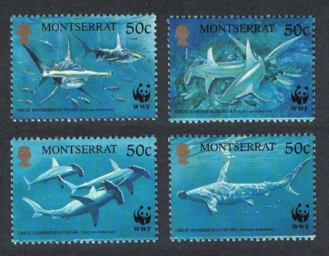 Montserrat WWF Great Hammerhead Shark 4v 1999 MNH SG#1148-1151 MI#1109-1112 Sc#998 a-d