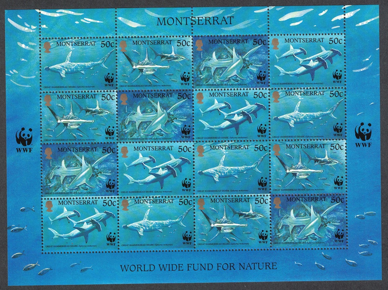 Montserrat WWF Great Hammerhead Shark Sheetlet of 4 sets 1999 MNH SG#1148-1151 MI#1109-1112 Sc#998 a-d