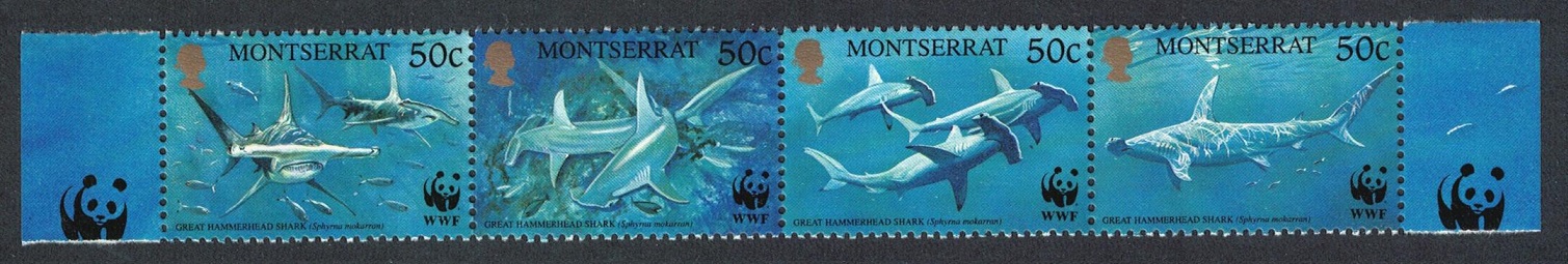 Montserrat WWF Great Hammerhead Shark Strip of 4v 1999 MNH SG#1148-1151 MI#1109-1112 Sc#998 a-d