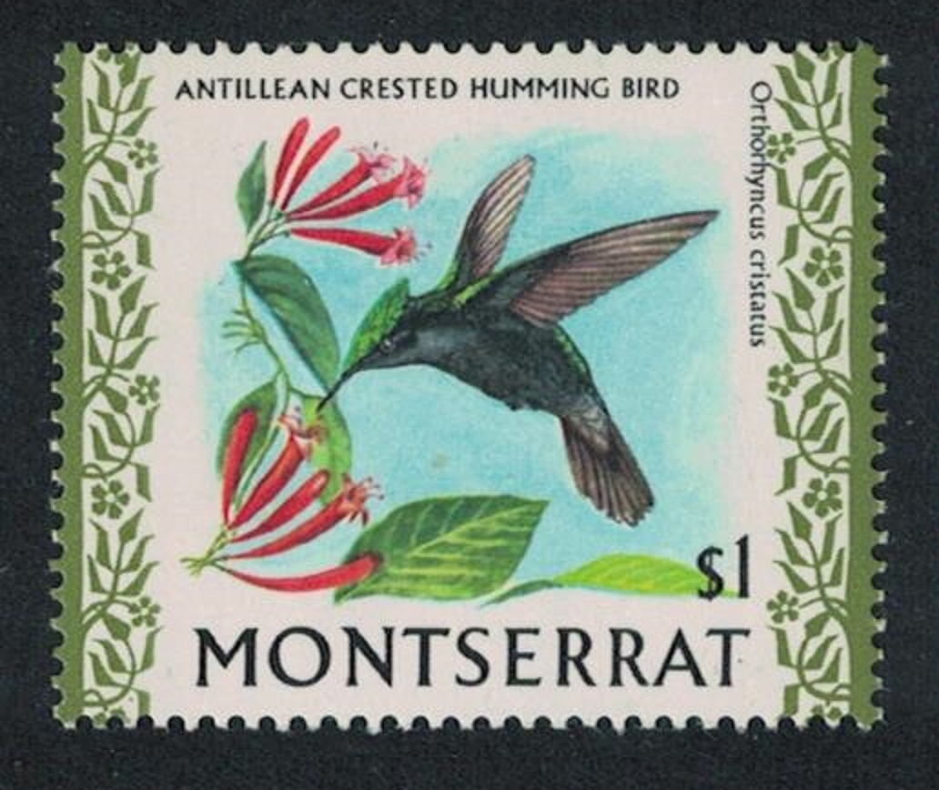 Montserrat Antillean Crested Hummingbird Bird $1 Glazed Ordinary paper 1971 MNH SG#252b