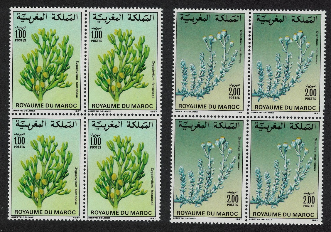 Morocco Flowers 2v Blocks of 4 1987 MNH SG#729-730