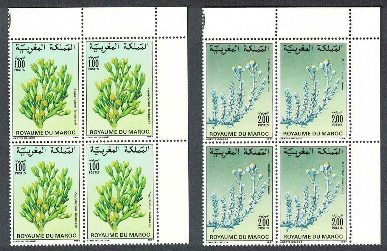 Morocco Flowers 2v Corner Blocks of 4 1987 MNH SG#729-730