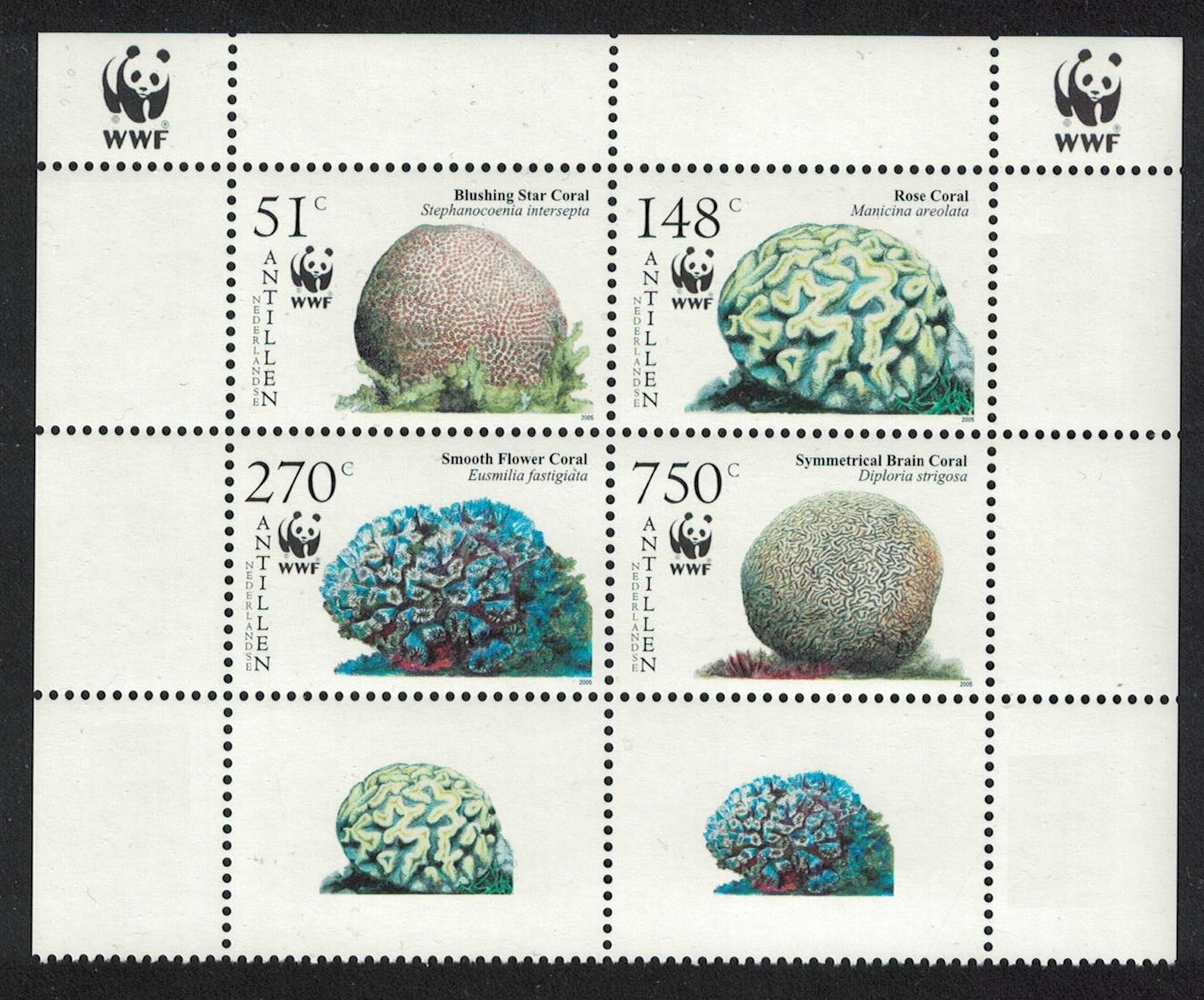 Netherlands Antilles WWF Corals Block of 4 Labels 2005 MNH SG#1705-1708 MI#1401-1404 Sc#1071 a-d