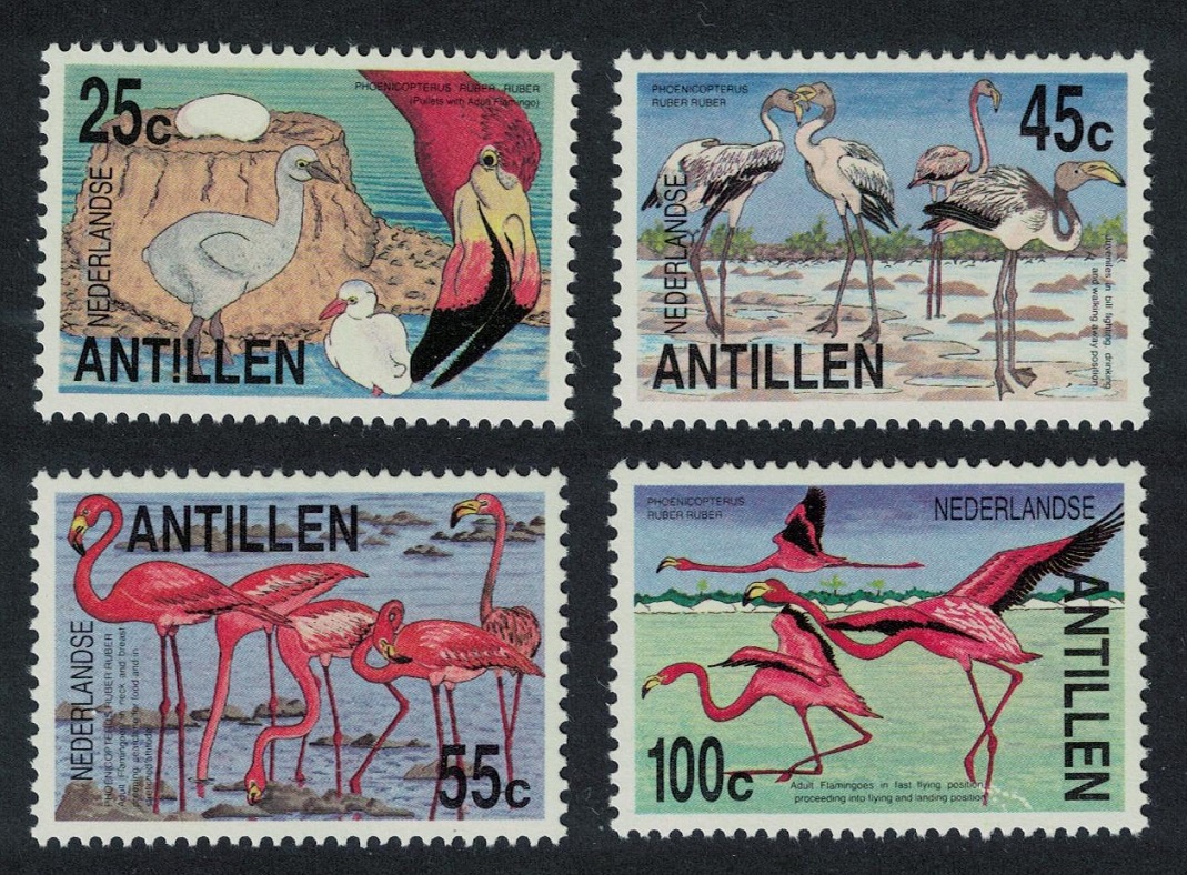 Netherlands Antilles Greater Flamingos Birds 4v 1985 MNH SG#873-876