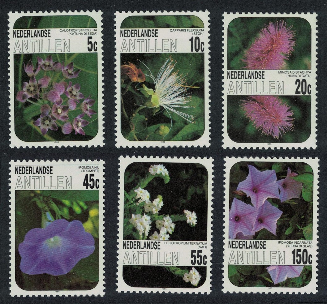 Netherlands Antilles Flowers 6v 1985 MNH SG#898-903