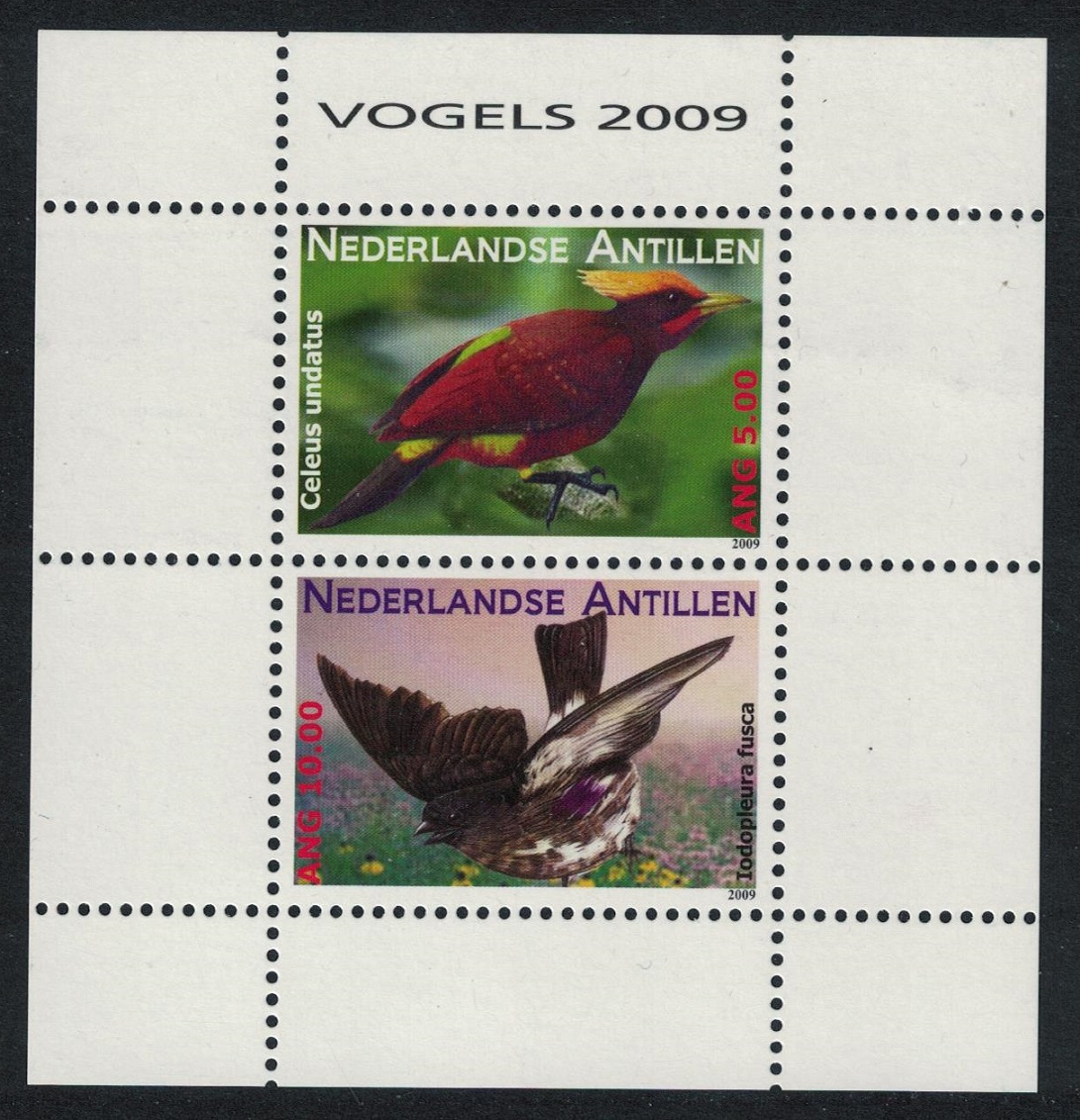 Netherlands Antilles Chestnut Woodpecker Dusky Purpletuft Birds MS 2009 MNH SG#MS2018