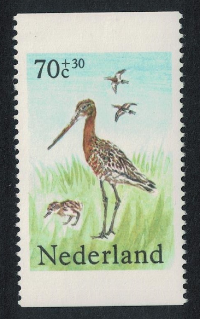 Netherlands Black-tailed Godwits Pasture Birds Vert perf 1984 MNH SG#1438 MI#1249