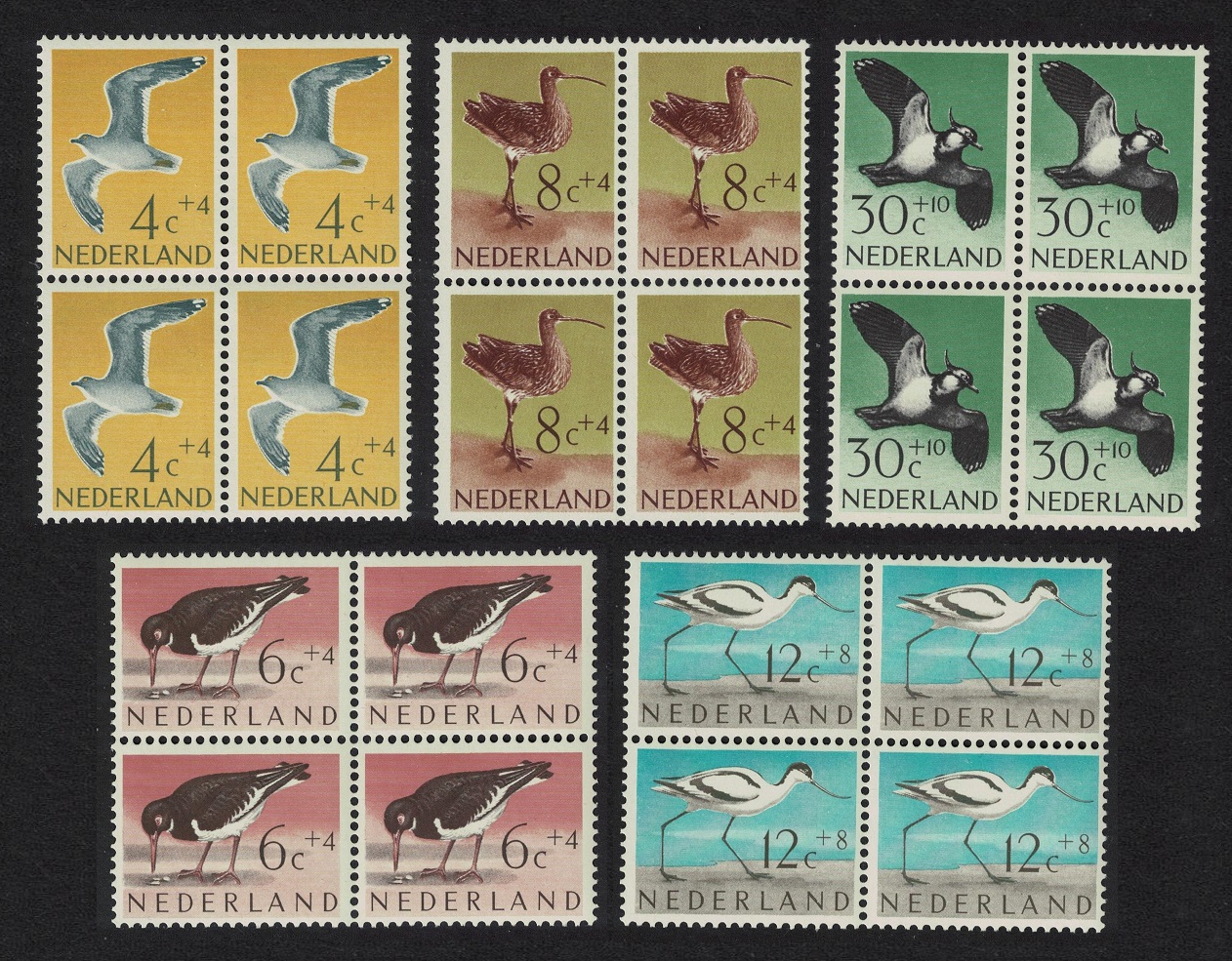 Netherlands Gull Avocet Curlew Lapwing Birds 5v Blocks of 4 1961 MNH SG#907-911 MI#760-764 Sc#B353-B357