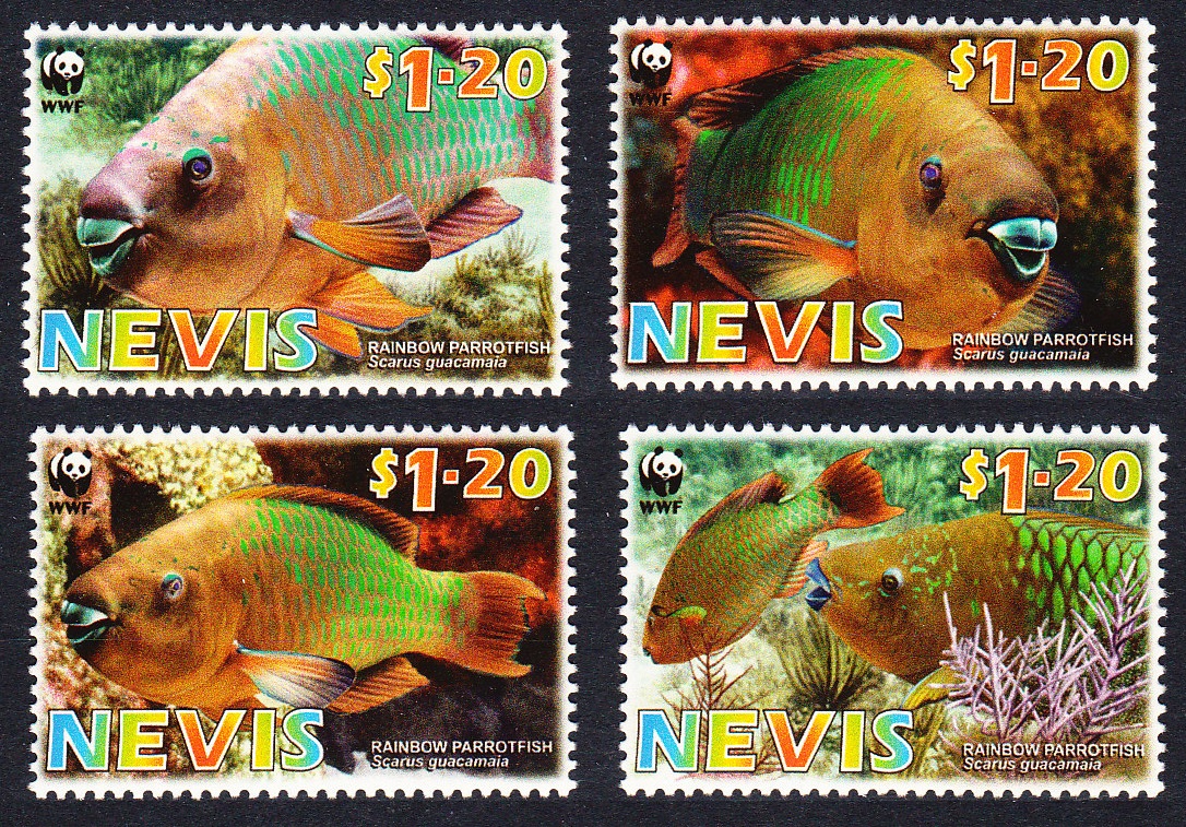 Nevis WWF Rainbow Parrotfish 4v 2007 MNH SG#2015-2018 MI#2208-2211 Sc#1510a-d