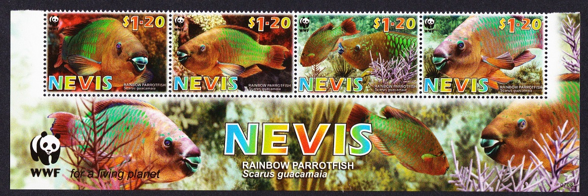 Nevis WWF Rainbow Parrotfish Strip of 4v WWF Logo 2007 MNH SG#2015-2018 MI#2208-2211 Sc#1510a-d