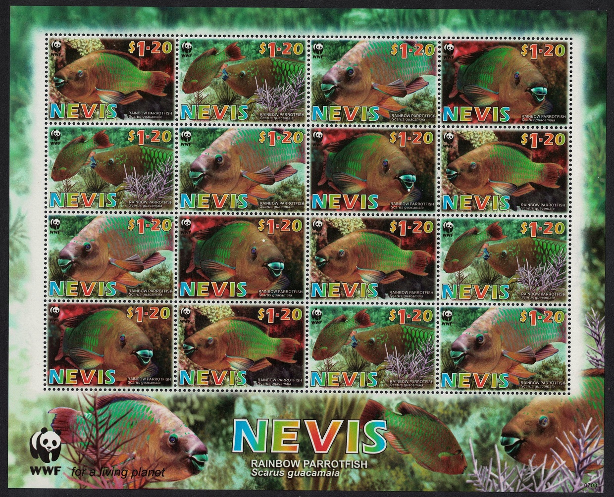 Nevis WWF Rainbow Parrotfish Sheetlet of 4 sets 2007 MNH SG#2015-2018 MI#2208-2211 Sc#1510a-d