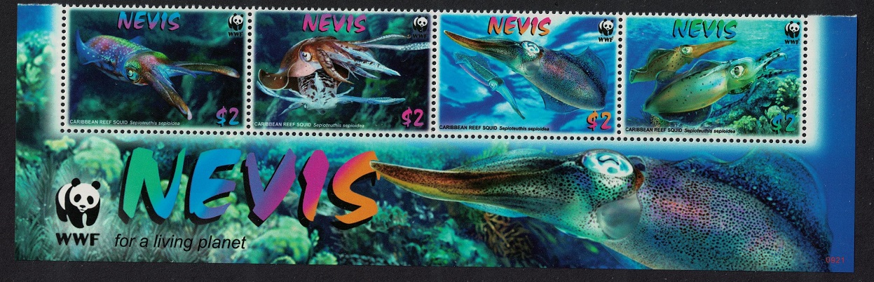 Nevis WWF Caribbean Reef Squid Strip WWF Logo 2009 MNH SG#2155-2158 MI#2380-2383 Sc#2380-2383